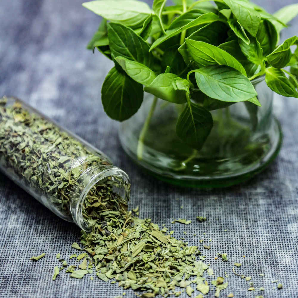 Basil