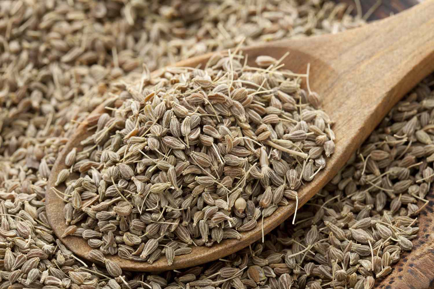 Anise Seeds